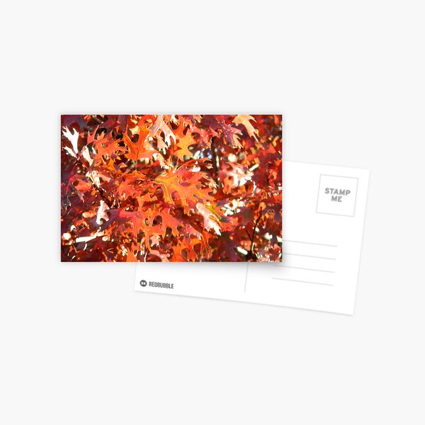 Item preview, Sun Lit Fall Orange designed and sold by Navigator.