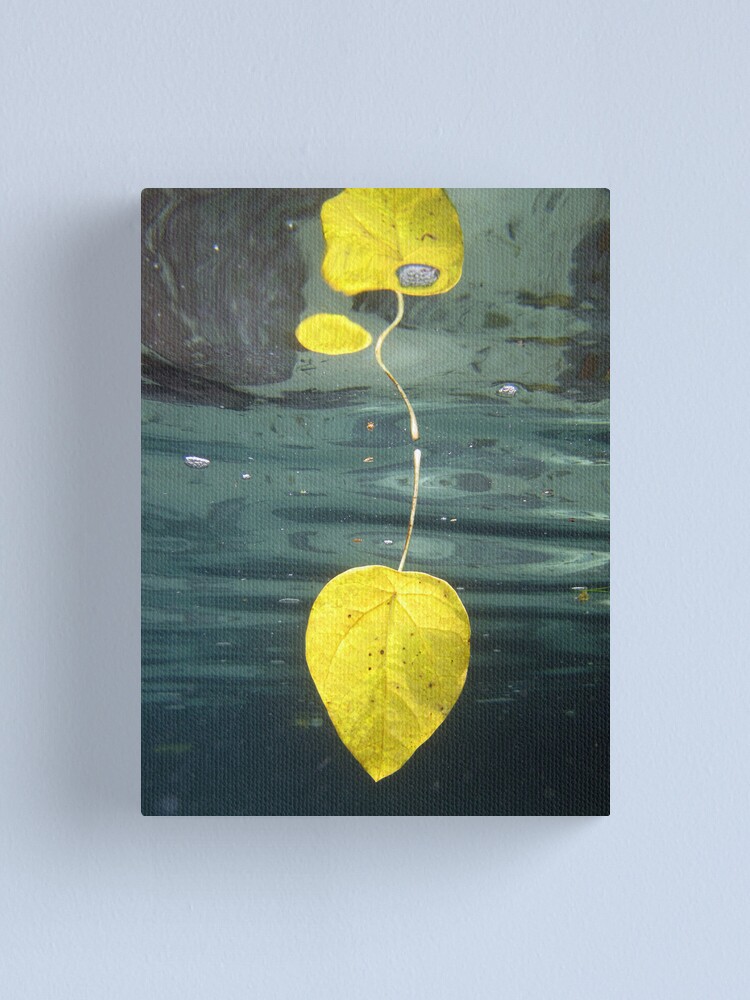 Alternate view of Leaf over Reef II Canvas Print