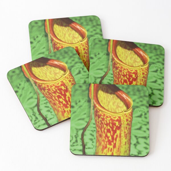 Item preview, Monkey Trap Plant (Carnivorous) designed and sold by Margaret Stevens.