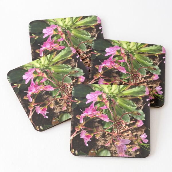 Item preview, Carousel of flowers designed and sold by lucielitchi.