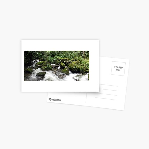 Front Creek at Isurava Postcard
