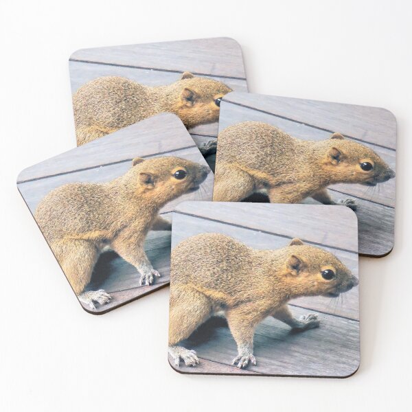 Item preview, Squirrel designed and sold by Margaret Stevens.