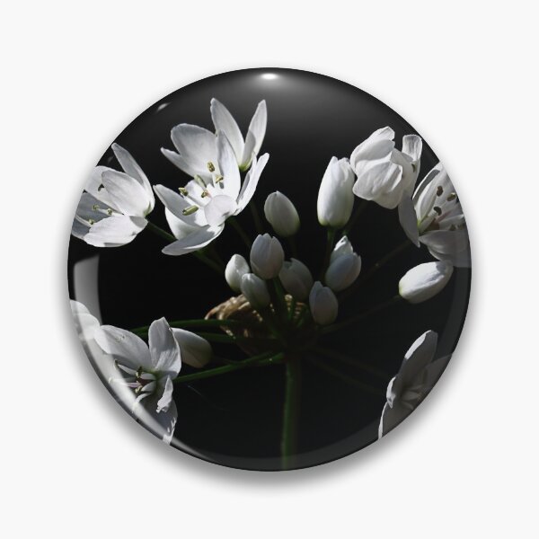 Item preview, A little light in the dark. designed and sold by Paul Pasco.