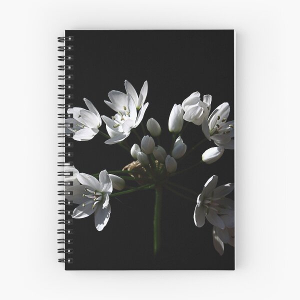Item preview, A little light in the dark. designed and sold by Paul Pasco.