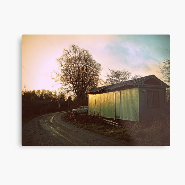 The Green House Metal Print