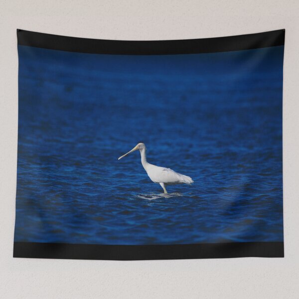 Item preview, A Spoonbill Hunting In The Shallows designed and sold by Jason Gilbert.