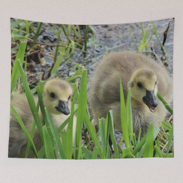 Item preview, Gosling Siblings designed and sold by Susie Kramer.