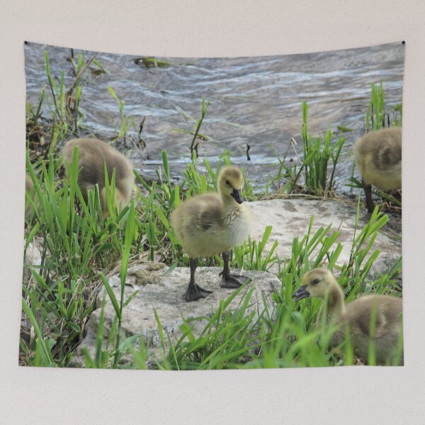 Item preview, King of the Mountain designed and sold by Susie Kramer.