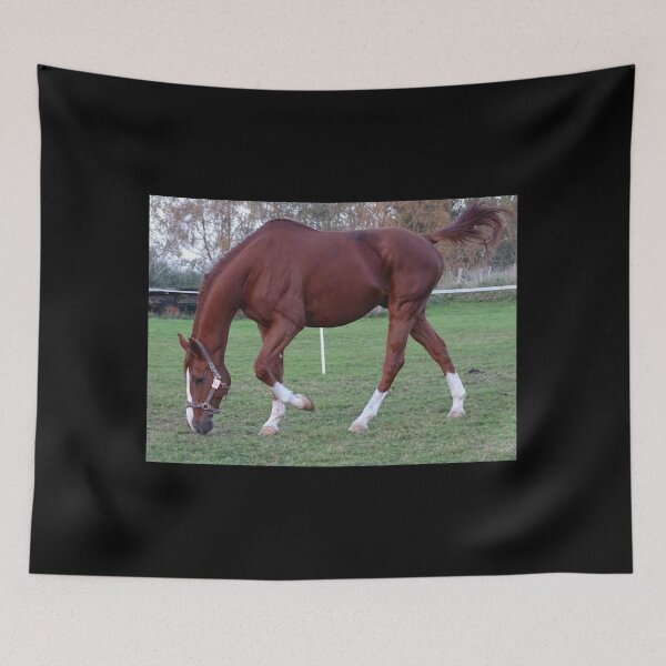 Item preview, Brown Horse designed and sold by KNBS.