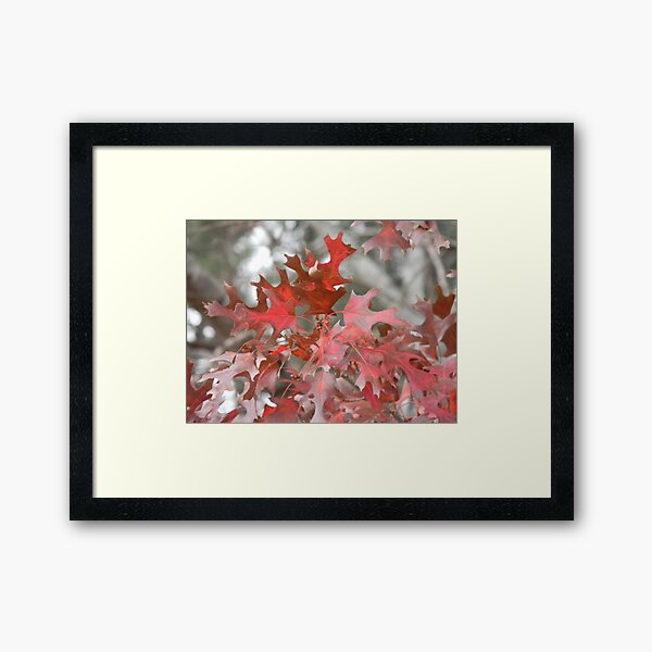 Item preview, Oak Tree in Christmas Colors designed and sold by Navigator.