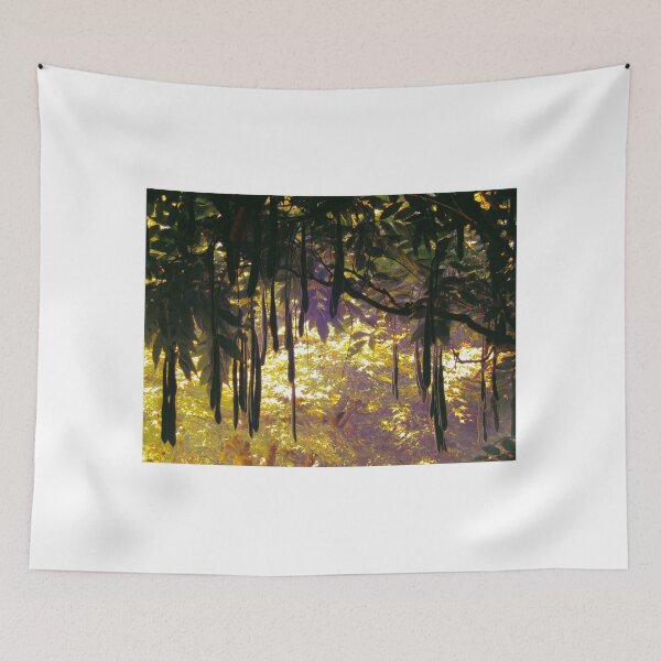 Item preview, Hakone Gardens, Saratoga, California. A Plant with Pods. 2008 designed and sold by Igor Pozdnyakov.