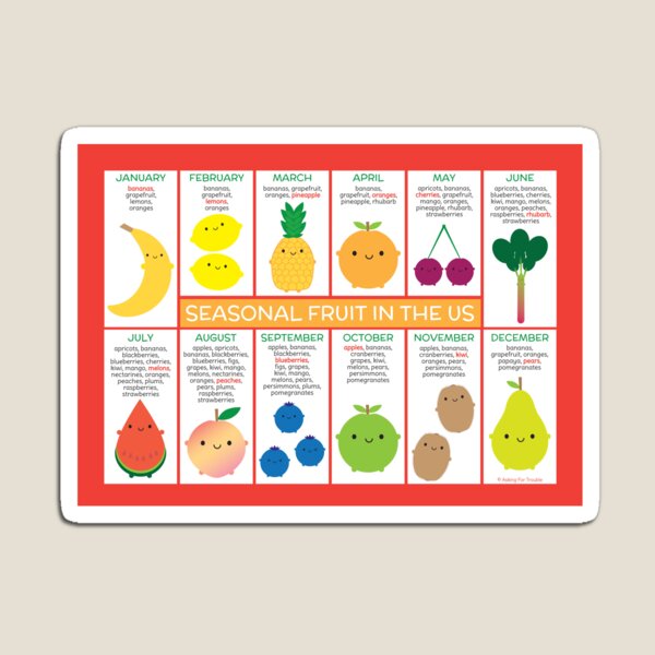 USA Seasonal Fruits Chart Magnet
