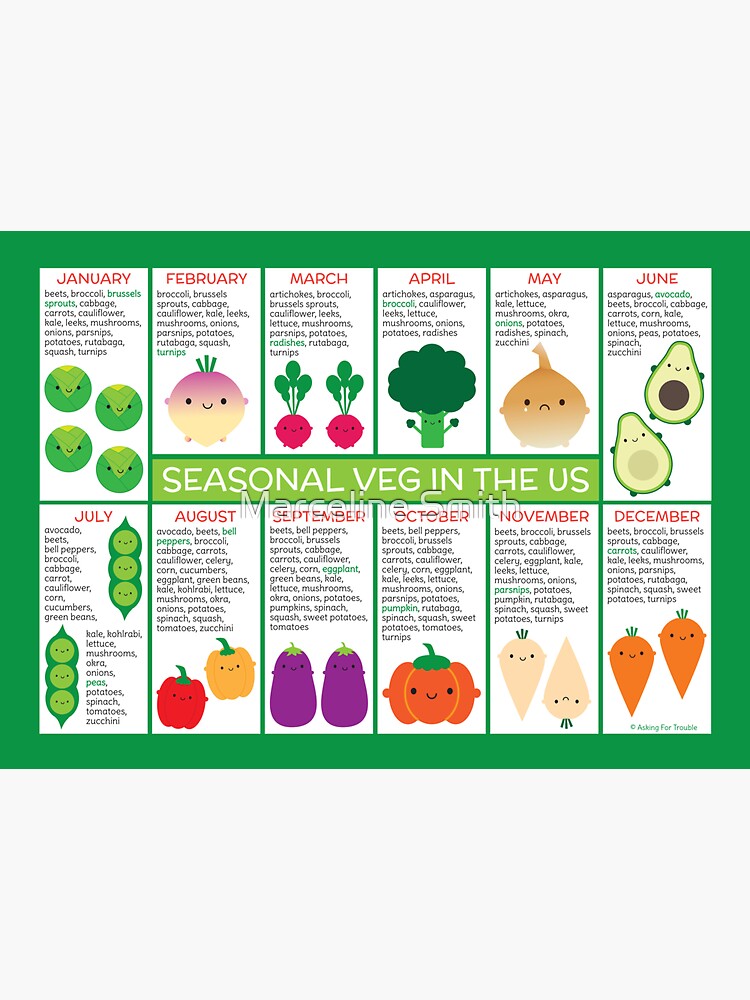 Thumbnail 3 of 3, Magnet, USA Seasonal Vegetables Chart designed and sold by Marceline Smith.