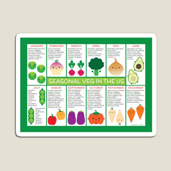 USA Seasonal Vegetables Chart Magnet