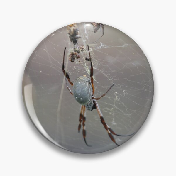 Aperçu de l'œuvre Nephila edulis : golden orb weaver spider créée et vendue par AHELENE.