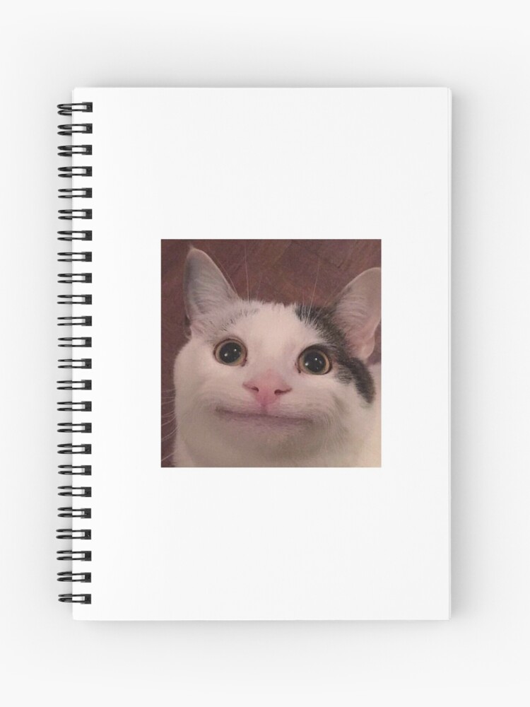 Smiling Reaction Cat Meme Spiral Notebook By Hannah Redbubble