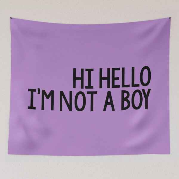 Item preview, Hi Hello, I'm Not a Boy designed and sold by Skyler Orion X.