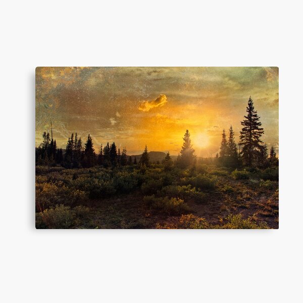 Summer Sunlight Canvas Print