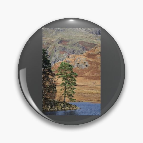Item preview, Tree at Blea Tarn, Lake District designed and sold by heidipics.
