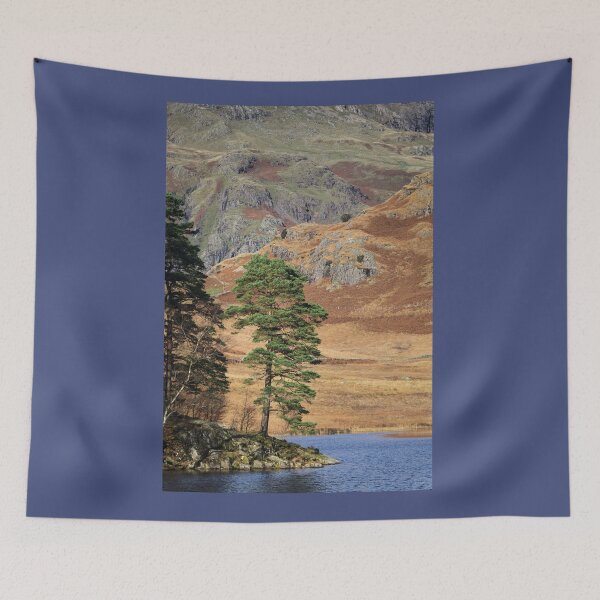 Item preview, Tree at Blea Tarn, Lake District designed and sold by heidipics.