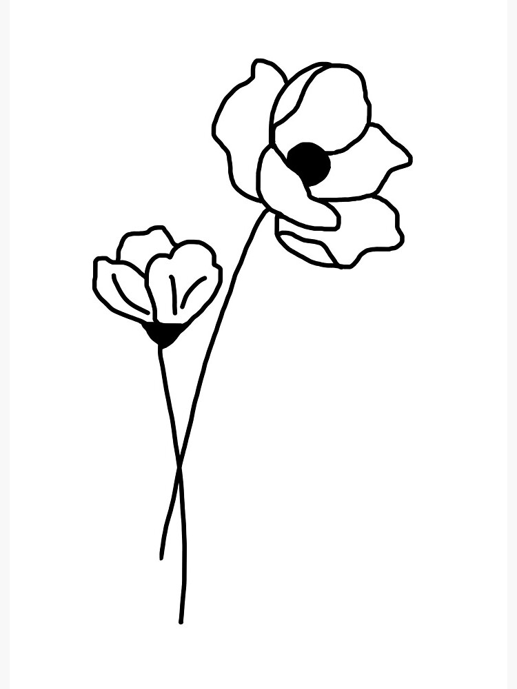 Poppy Flower Drawing Poppy Flower Drawing Illustration Line Work