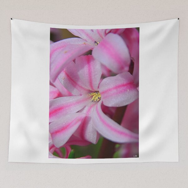 Item preview, Hyacinth Vertical designed and sold by LisaWootenPhoto.