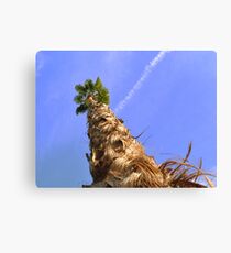 TallPalmTree3 Canvas Print