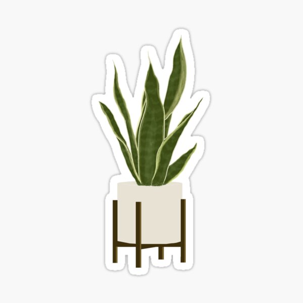 Item preview, Snake Plant designed and sold by missfleur.