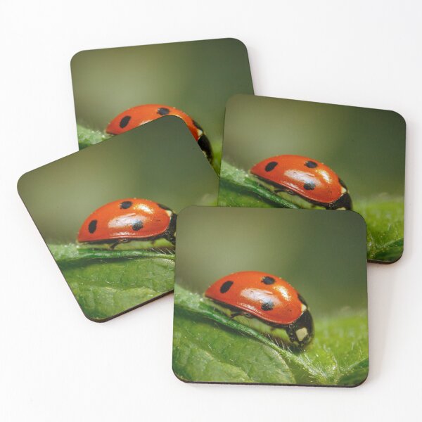 Item preview, Miss Lady Bug designed and sold by Tadas  Svetikas.