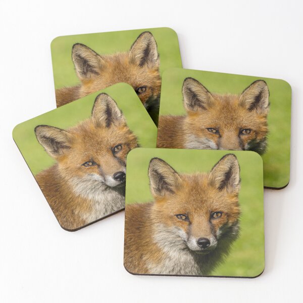 Item preview, Red Fox designed and sold by Postywood.