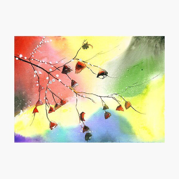 Christmas 1 Photographic Print