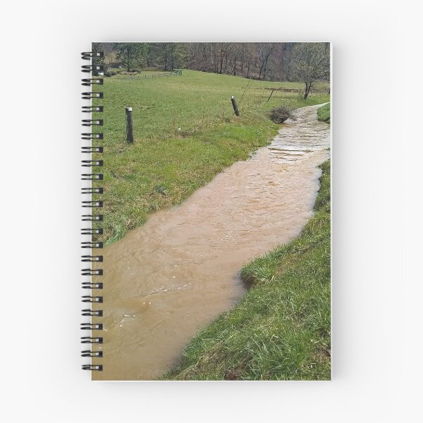 Aperçu de l'œuvre Lil Creek créée et vendue par Kitkatfoxx.