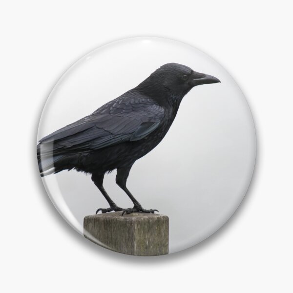 Item preview, Carrion Crow designed and sold by clgcreativearts.
