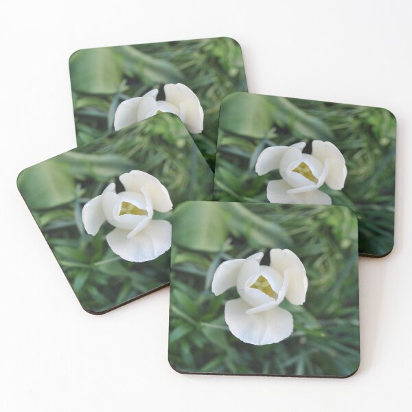 Item preview, Tulipán blanco designed and sold by toniamurphy.