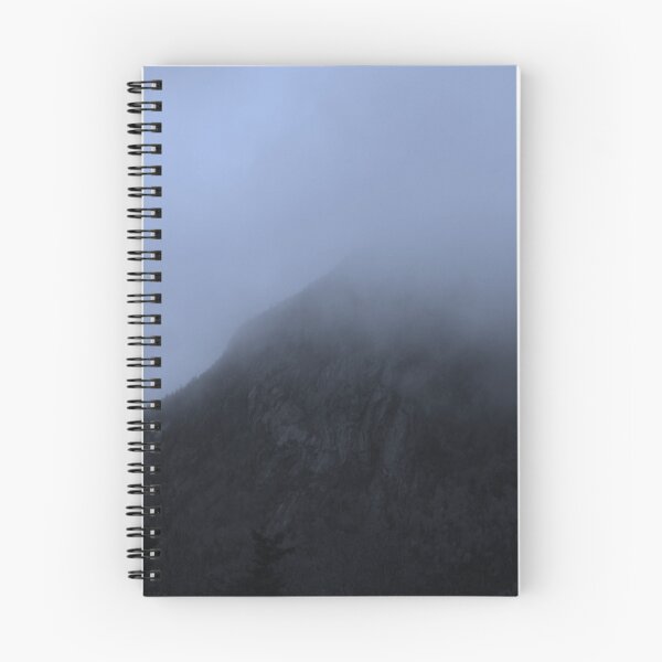 Item preview.