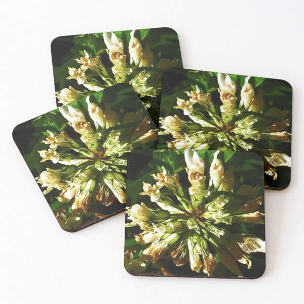 Item preview, Clover, Up Close And Personal v.2 designed and sold by Mark Polk.