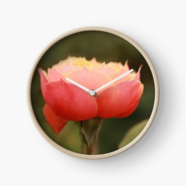 Coral & Pink Rose Clock