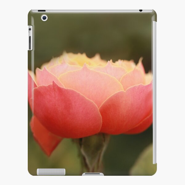 Coral & Pink Rose iPad Snap Case