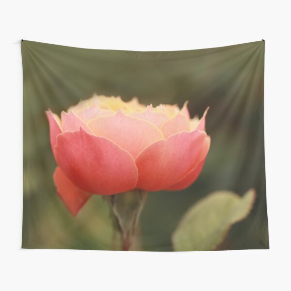 Coral & Pink Rose Tapestry