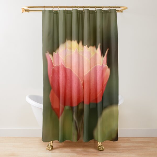 Coral & Pink Rose Shower Curtain