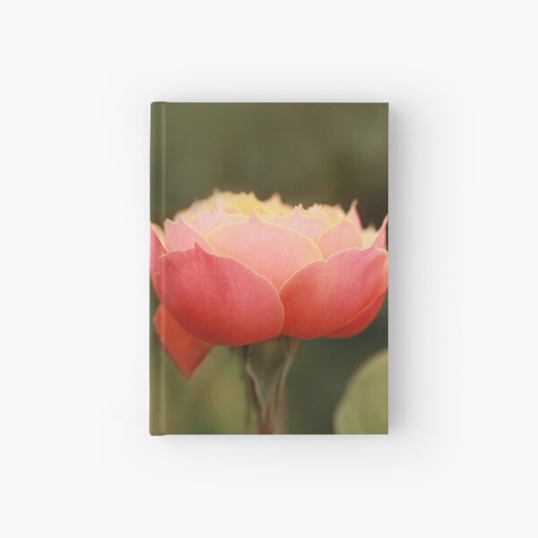 Coral & Pink Rose Hardcover Journal