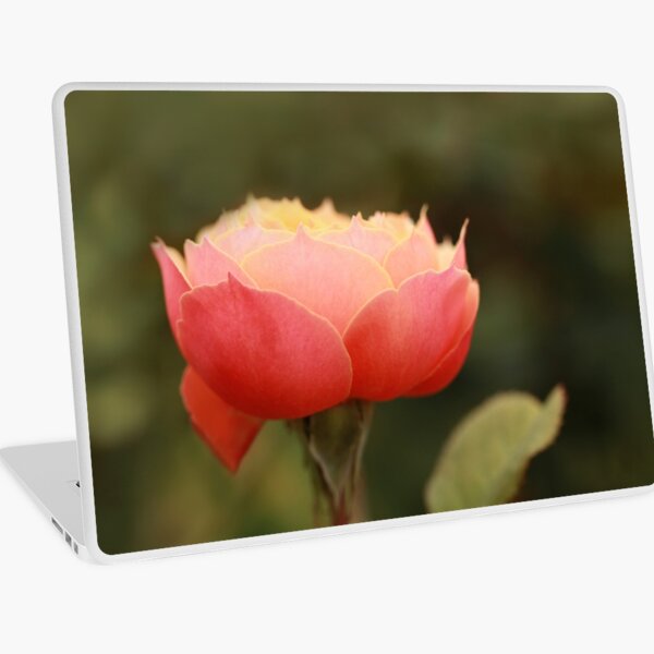 Coral & Pink Rose Laptop Skin