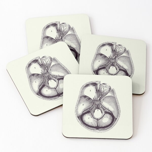 Item preview, Human Brain Anatomy - Aerial View  - Vintage Anatomy 2 designed and sold by VAposters.