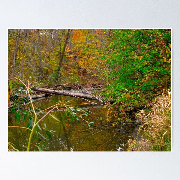 Item preview, Shortcuts in the forest designed and sold by MarianBendeth.