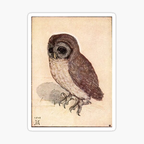 Item preview, Little Owl by Albrecht Dürer  designed and sold by Amanda1775.