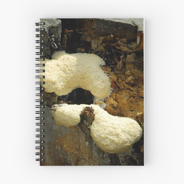 Item preview, "Dog Vomit" Slime Mould designed and sold by Billlee.