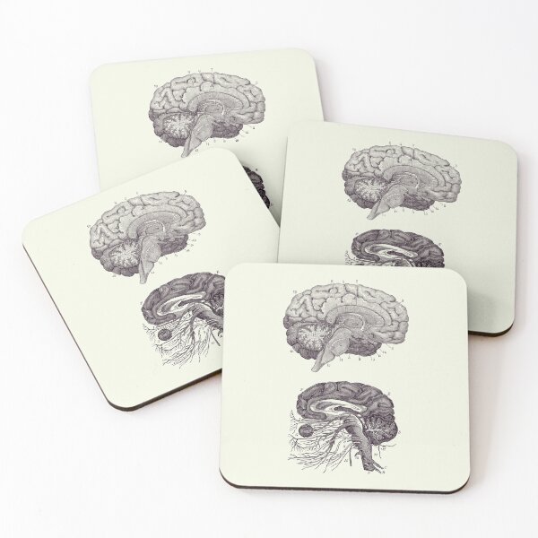 Item preview, Human Brain - Central Nervous System - Vintage Anatomy Print 2 designed and sold by VAposters.