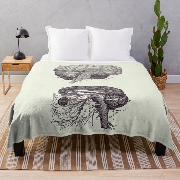 Item preview, Human Brain - Central Nervous System - Vintage Anatomy Print 2 designed and sold by VAposters.