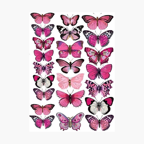 Item preview, pink butterfly designed and sold by Bixchurse.