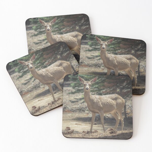 Item preview, California Mule Deer  designed and sold by Ian Christopher.